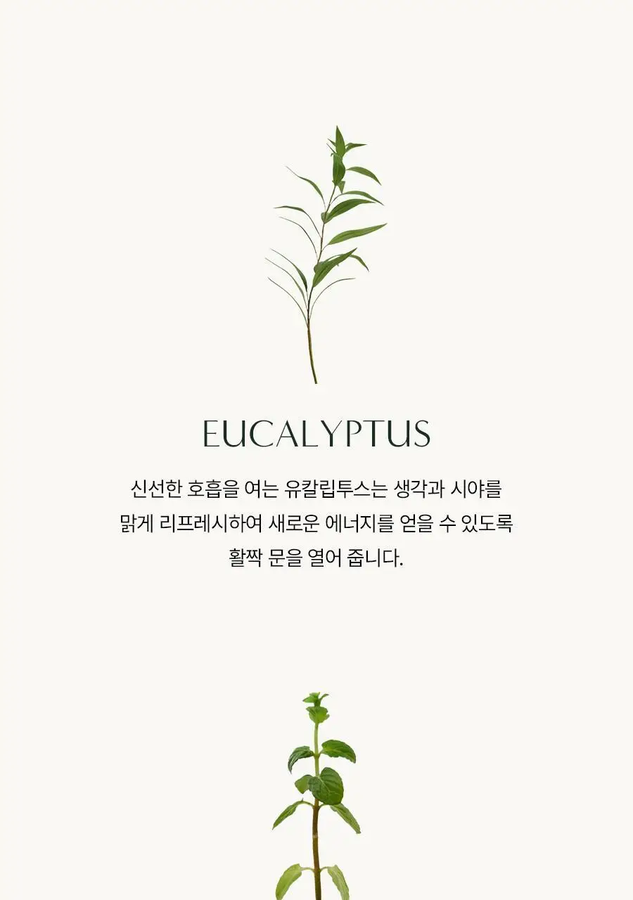 [대용량/가성비] 아로마티카 바디워시 1L 2종 택1 (유칼립투스/레몬그라스) 상세페이지 4
